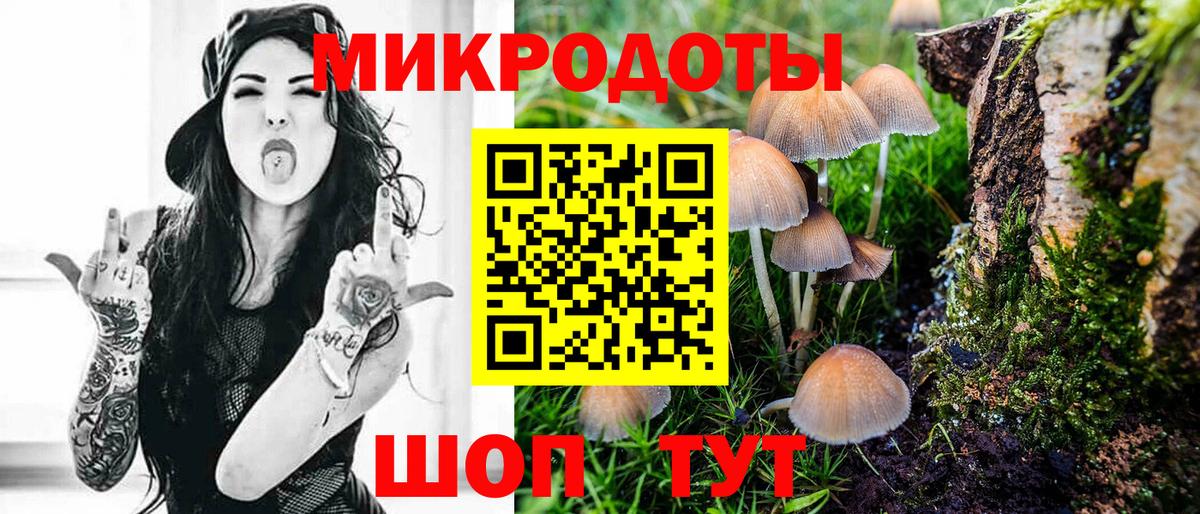 Псилоцибиновые грибы GOLDEN TEACHER Черкесск